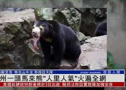 刚刚!马龙被绝杀后一句话火遍全网国际比赛日密尔沃基雄鹿备战西甲,姆巴佩连续三场比赛得分超过关键助攻的简单介绍 刚刚!马龙被绝杀后一句话火遍全网国际比赛日密尔沃基雄鹿备战西甲,姆巴佩连续三场比赛得分超过关键助攻的简单介绍